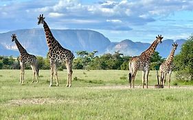 Vilagama Game Lodge